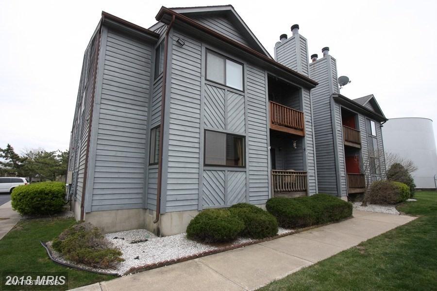 1604 Marion Quimby Drive - Photo 1