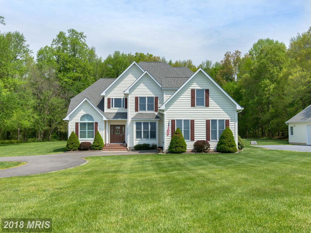 481 Willow Branch Road - Photo 1