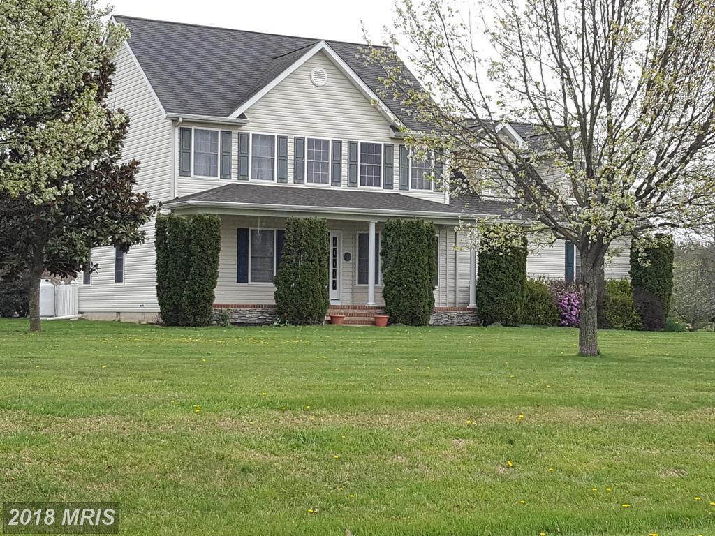 223 Old Line Drive - Photo 1