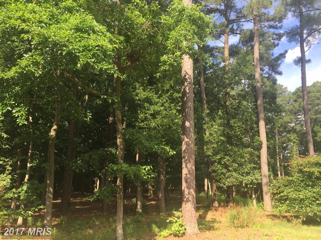 Wicomico Road - Photo 1