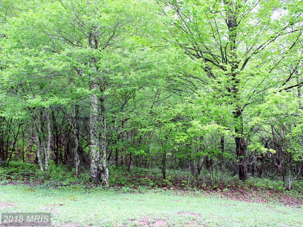 30 Cherry Ridge Drive - Photo 1
