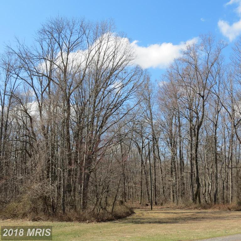 Ladelle Knoll Lane - Photo 1