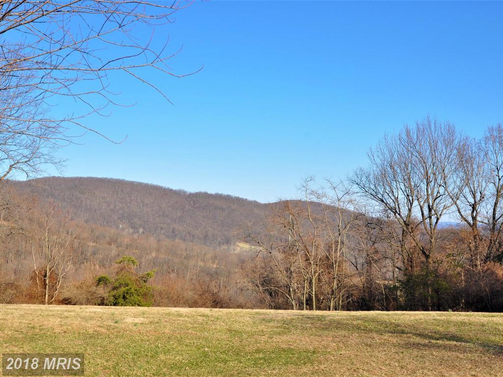 0 Virginia Pines Lane - Photo 1