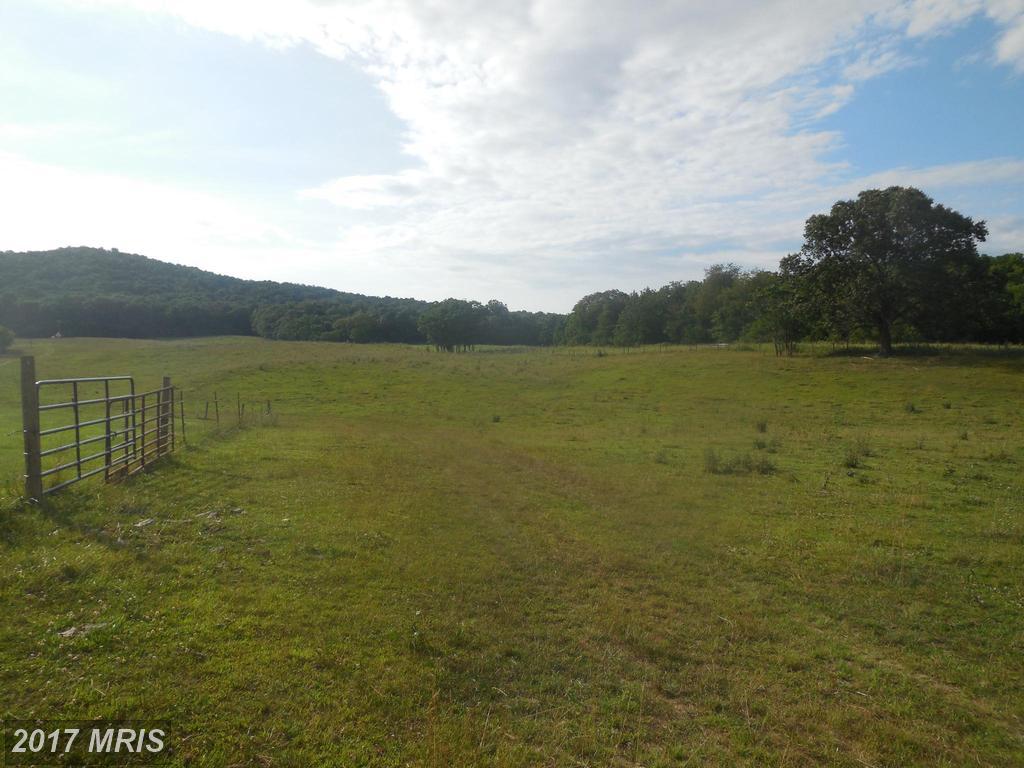 Pinewoods Rd - Photo 1