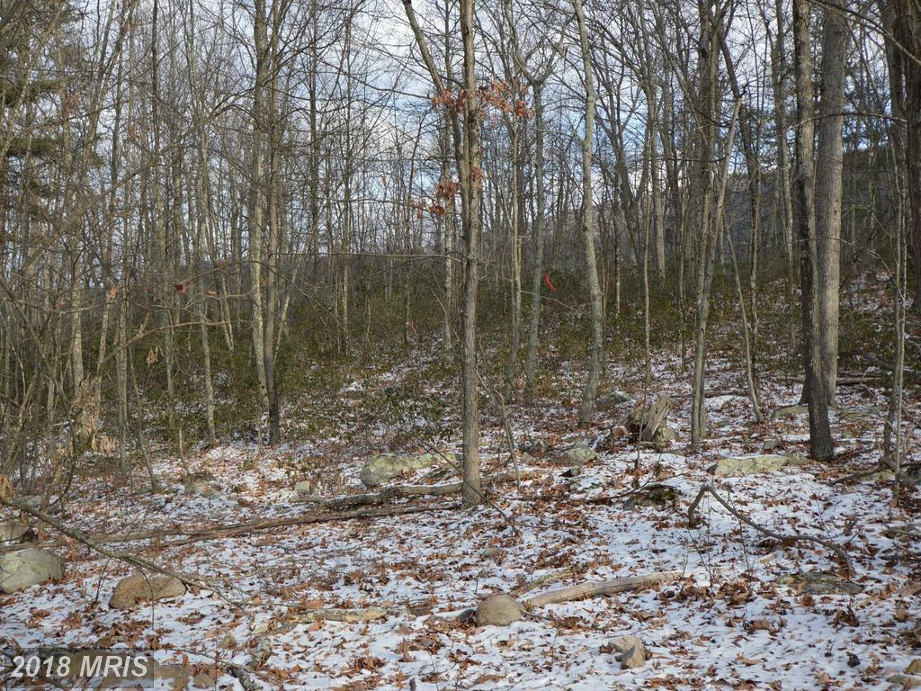 Hideaway Farms Road - Photo 1