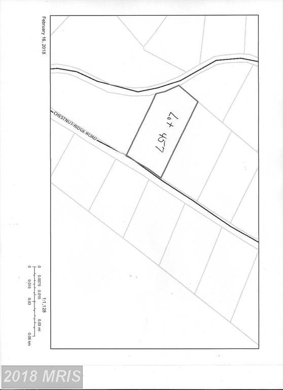 0 Chestnut Ridge Drive - Photo 1