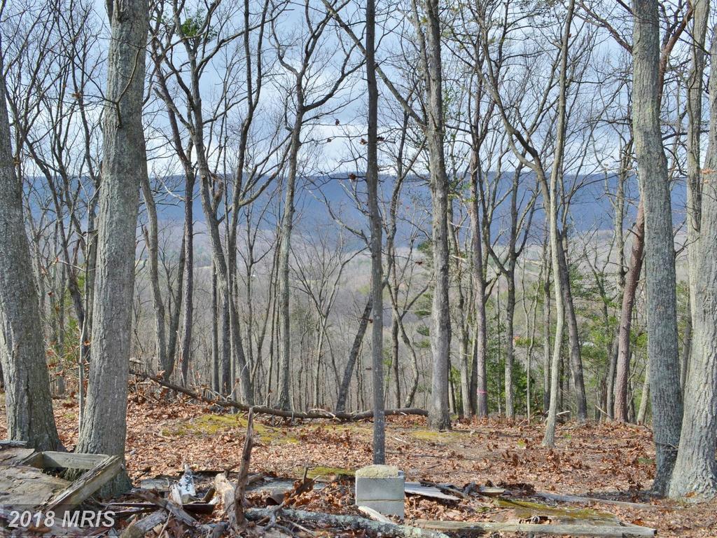 Supinlick Ridge Road - Photo 1