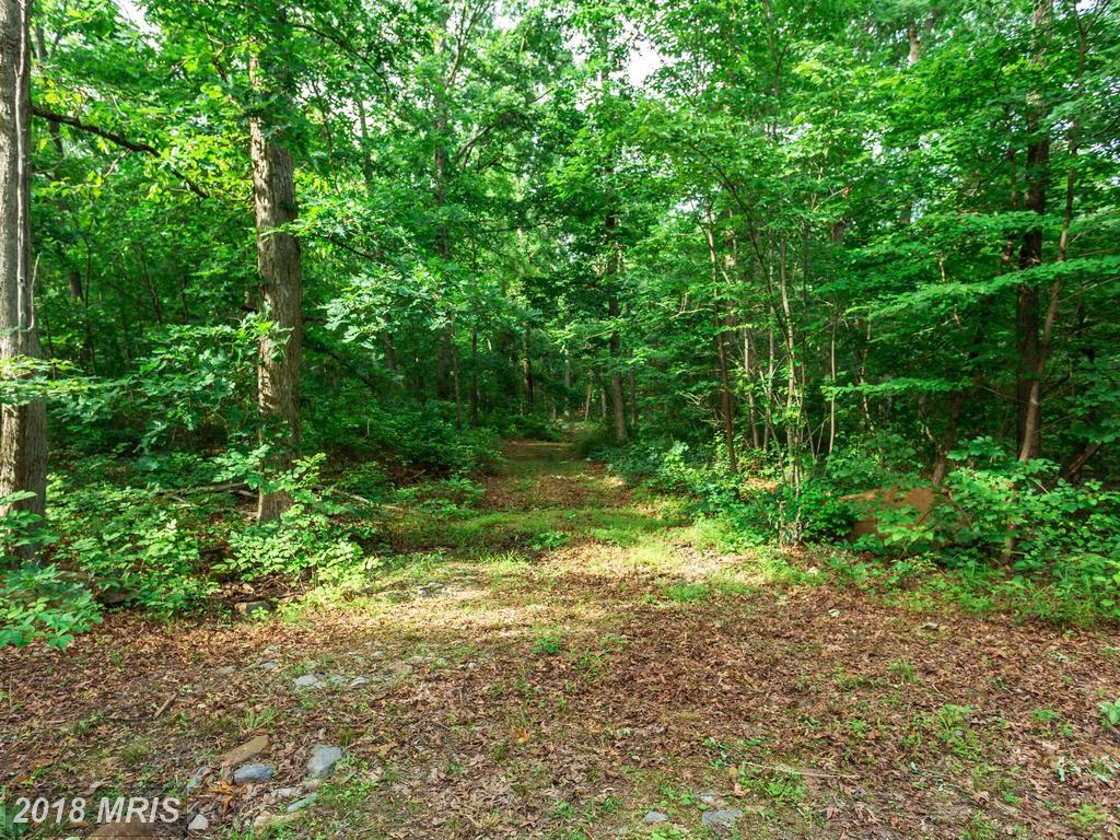 Mountain Rd - Photo 1