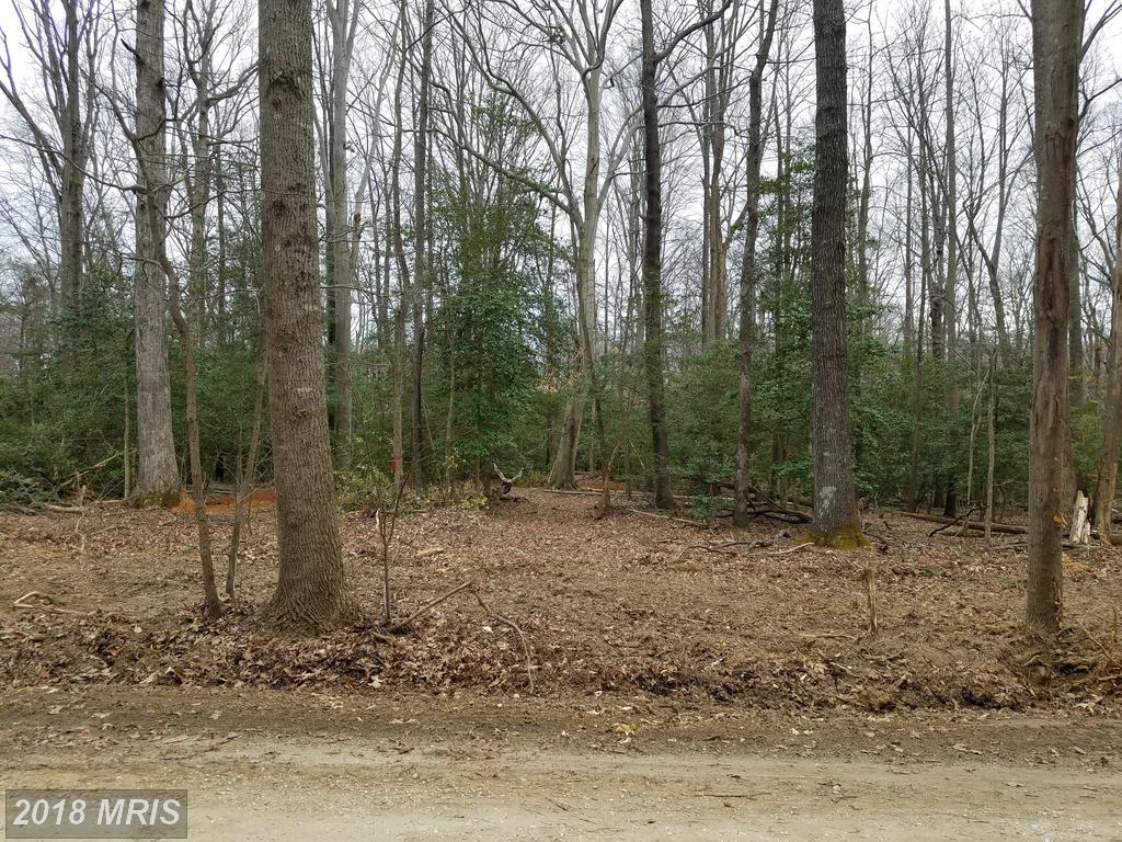 26323 Argentina Drive - Photo 1