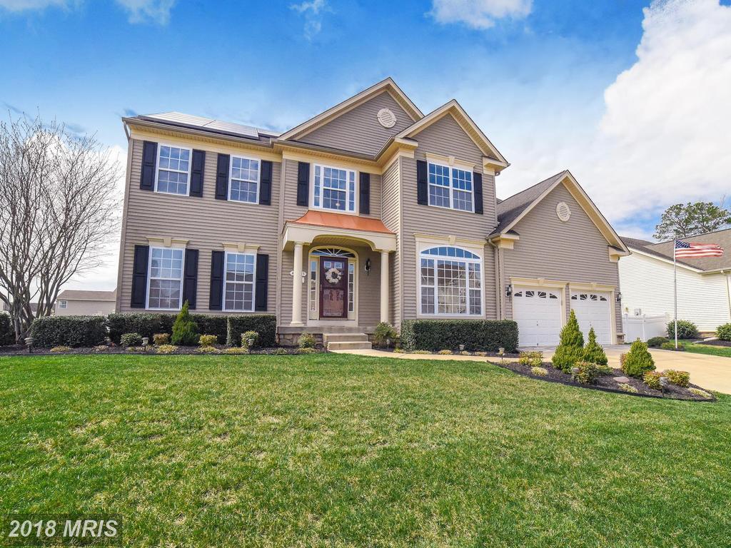 41625 Ferber Court - Photo 1