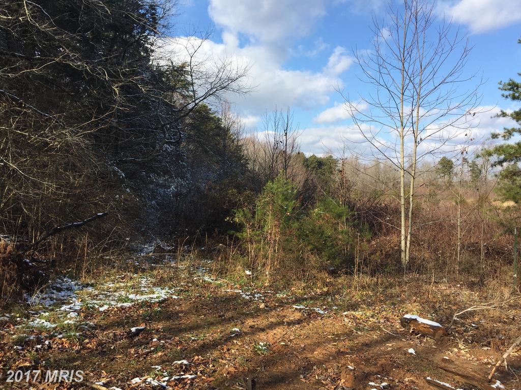 15009 Jones Powell Road - Photo 1