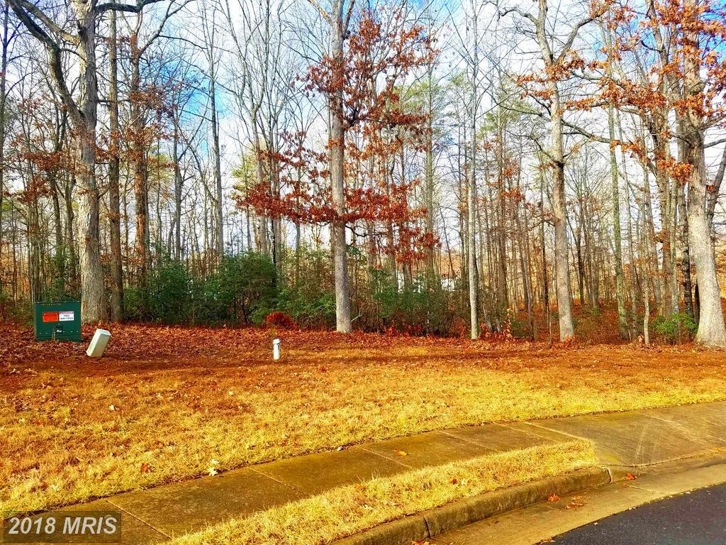11302 Radcliff Terrace - Photo 1