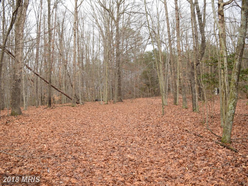 2805 Amy Drive - Photo 1