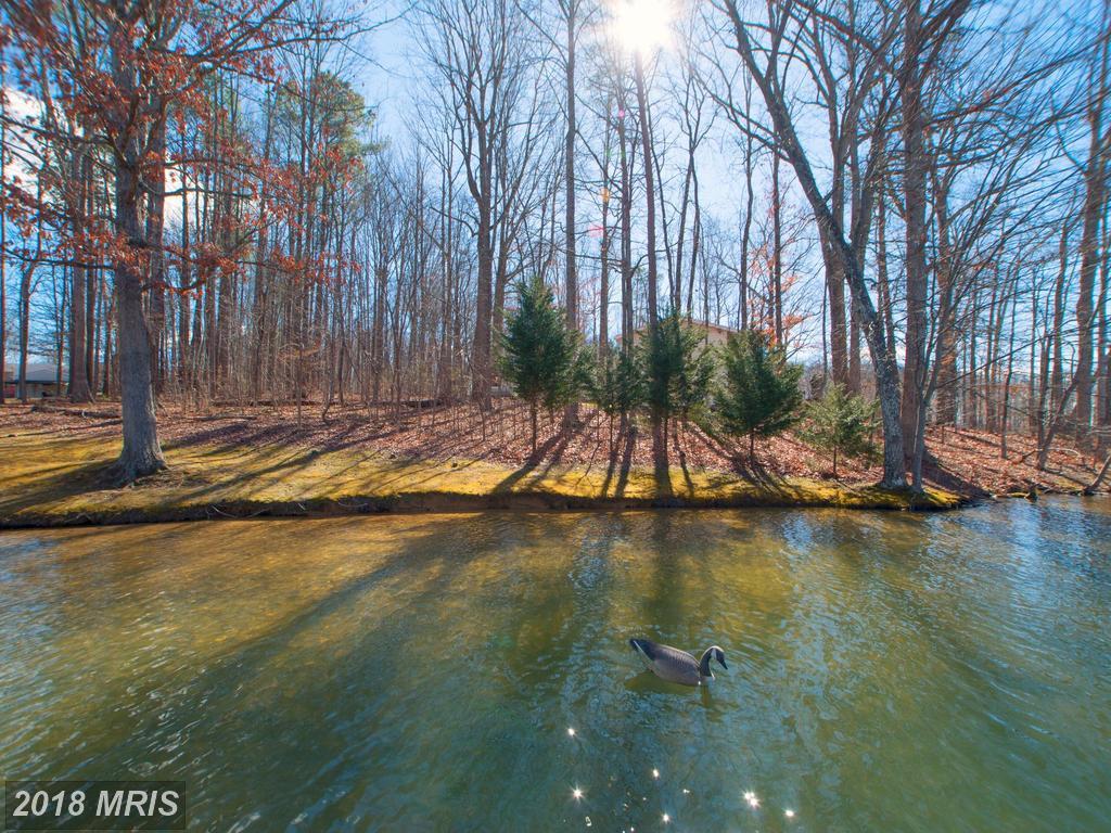 11100 Piney Forest Drive - Photo 1