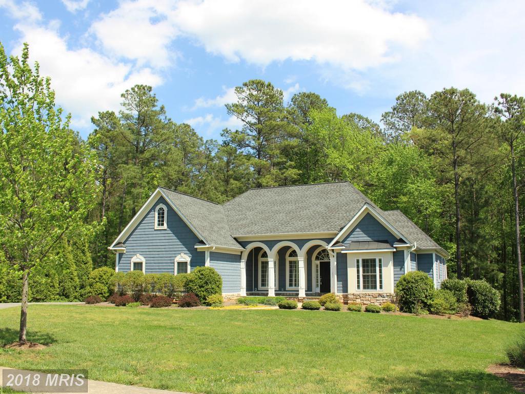 11607 Pine Hollow Lane - Photo 1