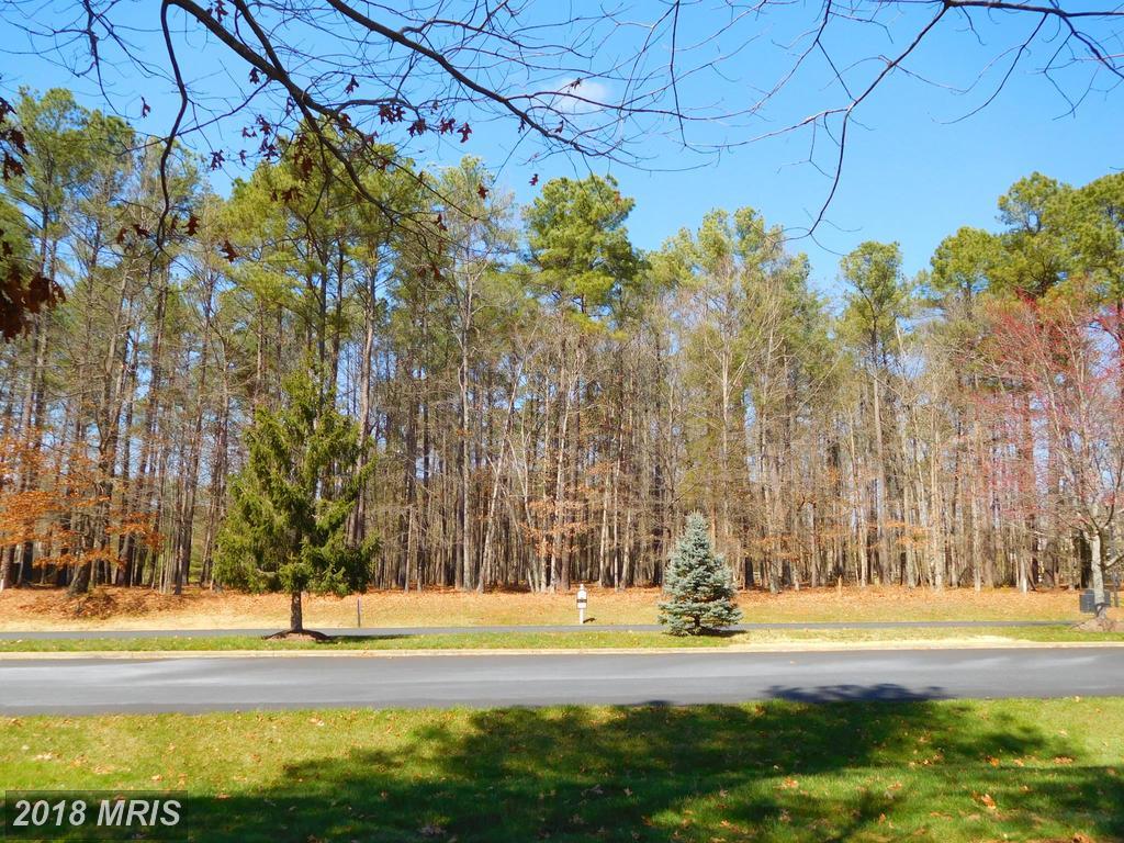11515 Fawn Lake Parkway - Photo 1