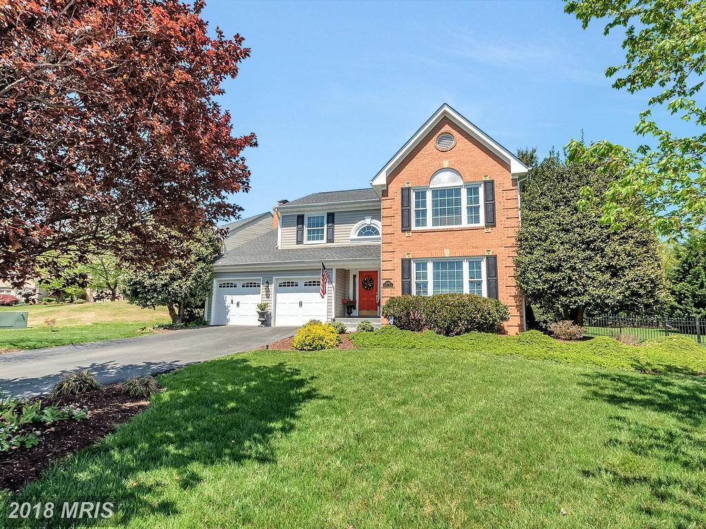 10401 Amherst Circle - Photo 1