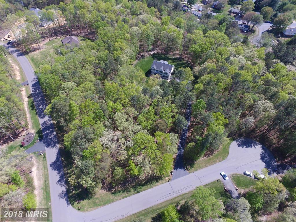 11300 Honor Bridge Farm Court - Photo 1