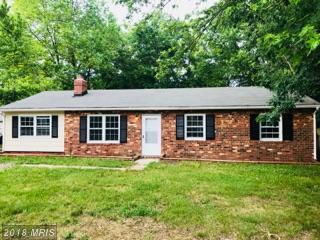 5503 Elder Street - Photo 1