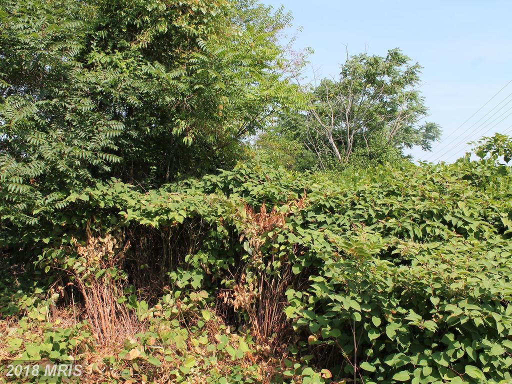 9238 Filter Lane - Photo 1