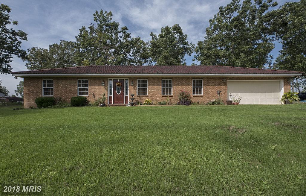 8318 Arlene Acres Drive - Photo 1