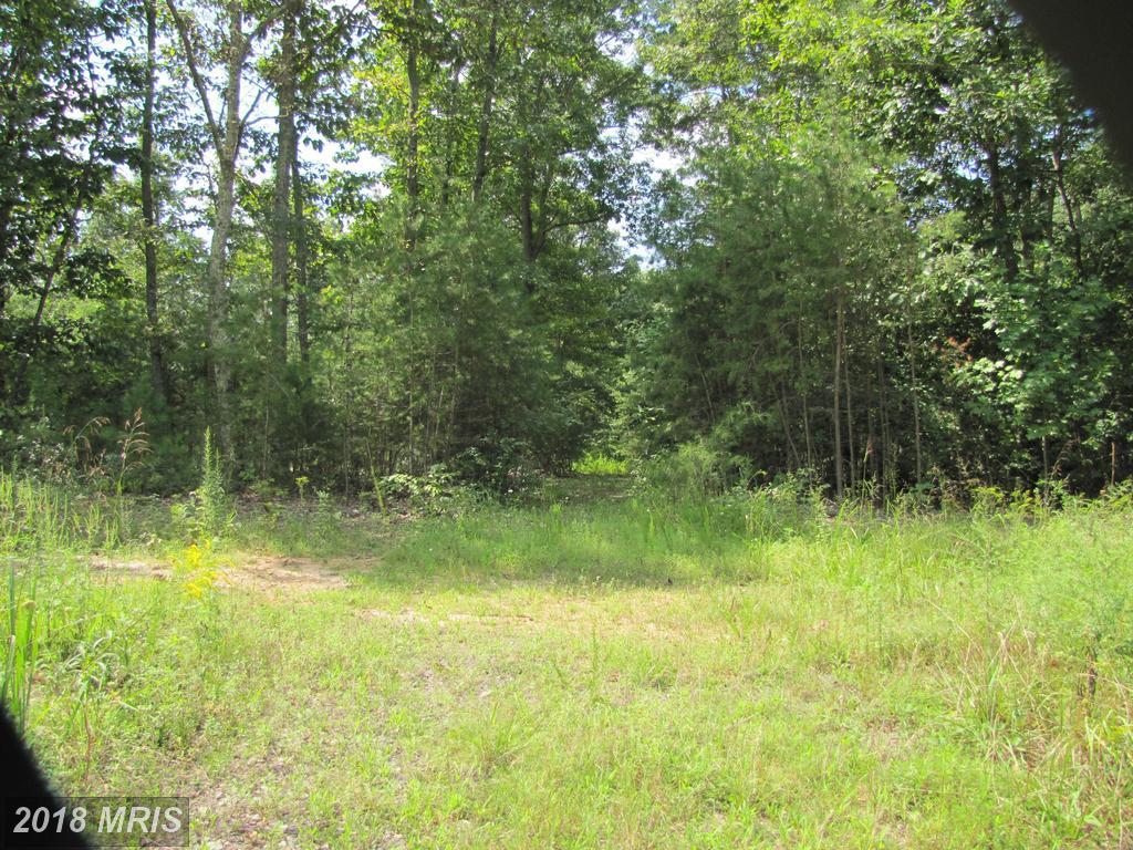 9010 Fox Run Drive - Photo 1
