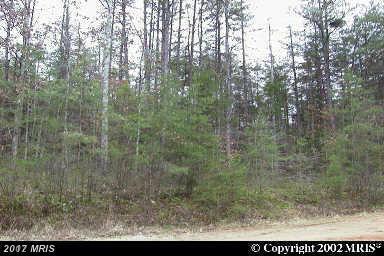 7440 Lakewood Lane - Photo 1