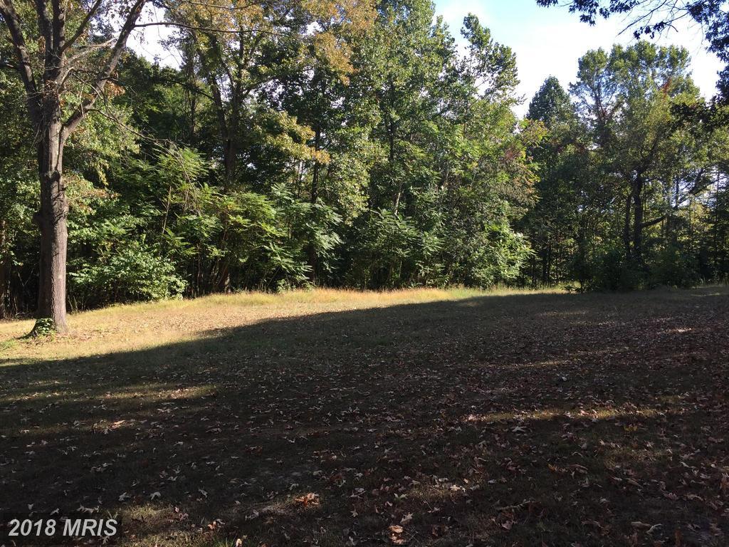 Lot 2 Veerama Way - Photo 1