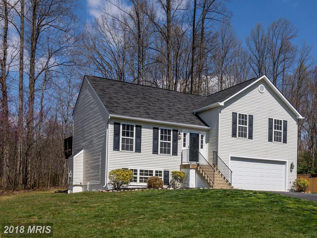 19 Tamerlane Drive - Photo 1