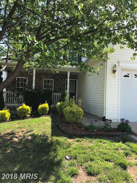 42 Hot Springs Way - Photo 1