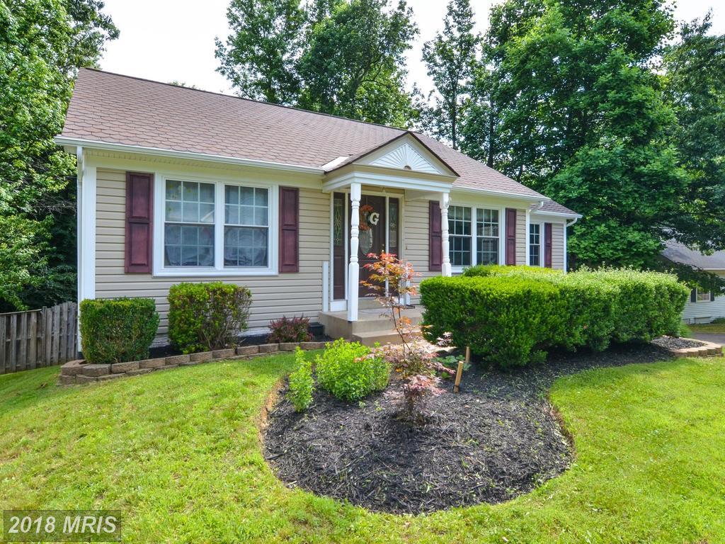 26 Plumosa Drive - Photo 1