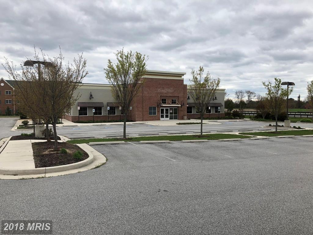 29311 Cecil Drive - Photo 1