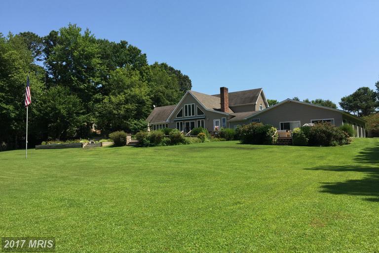 31032 Bruceville Road - Photo 1