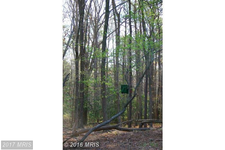 Deep Neck Road - Photo 1