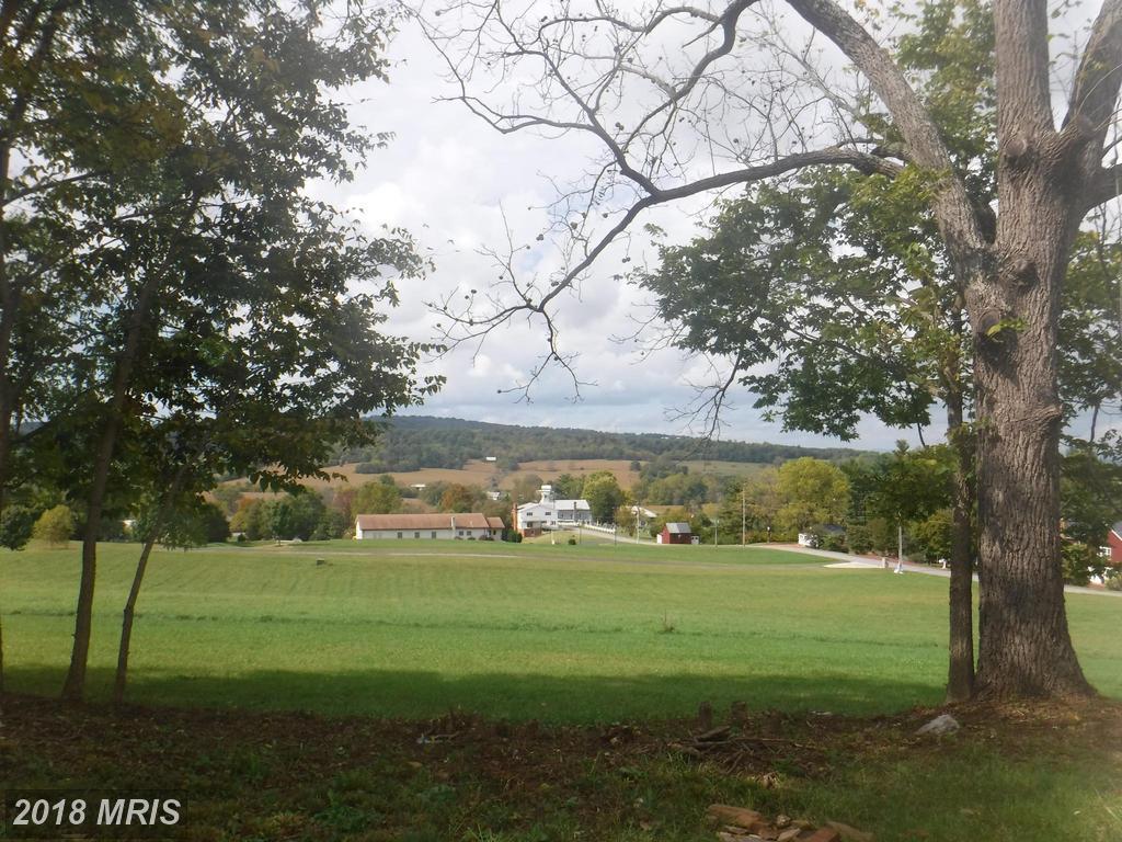 20243 Locust Grove Road - Photo 1