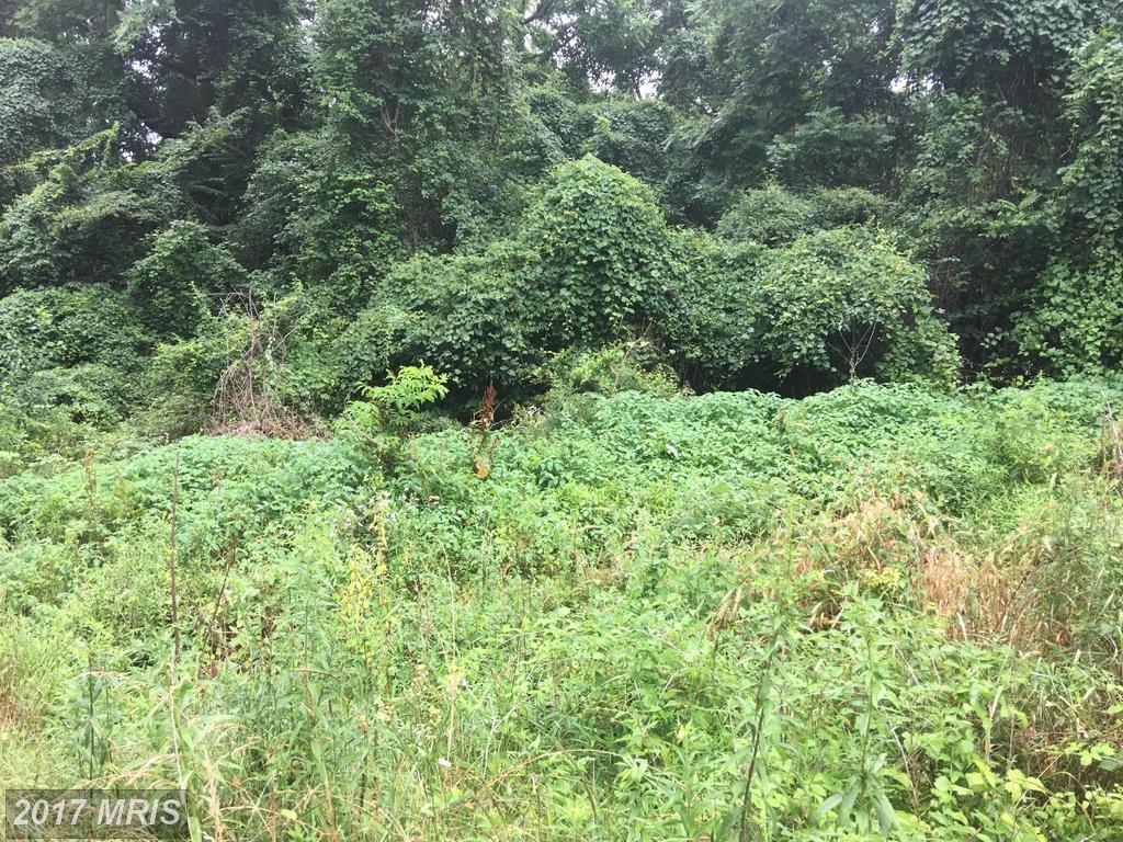 Byers Lane - Photo 1