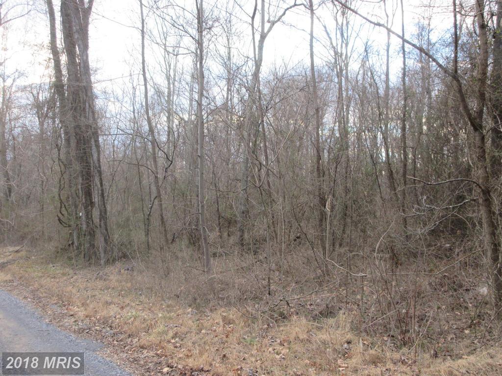 LOT 2A2 Smith Run Road - Photo 1