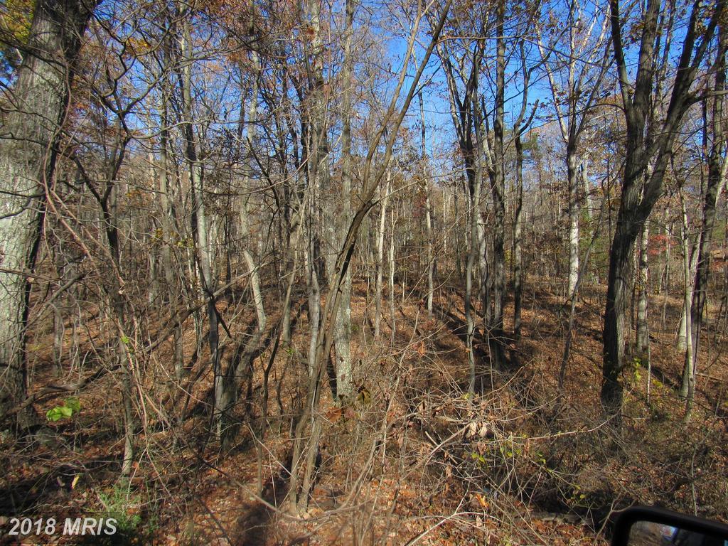 Western - Photo 1