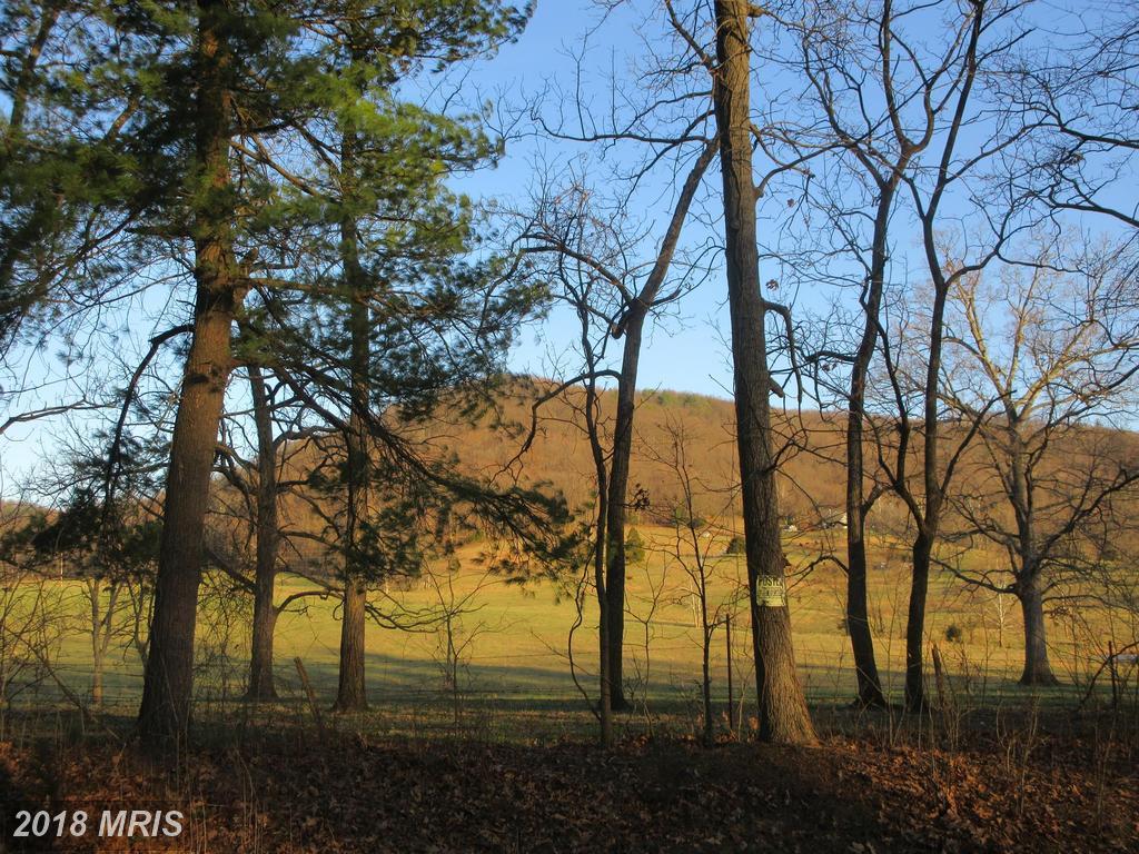 Jones Farm Road - Photo 1