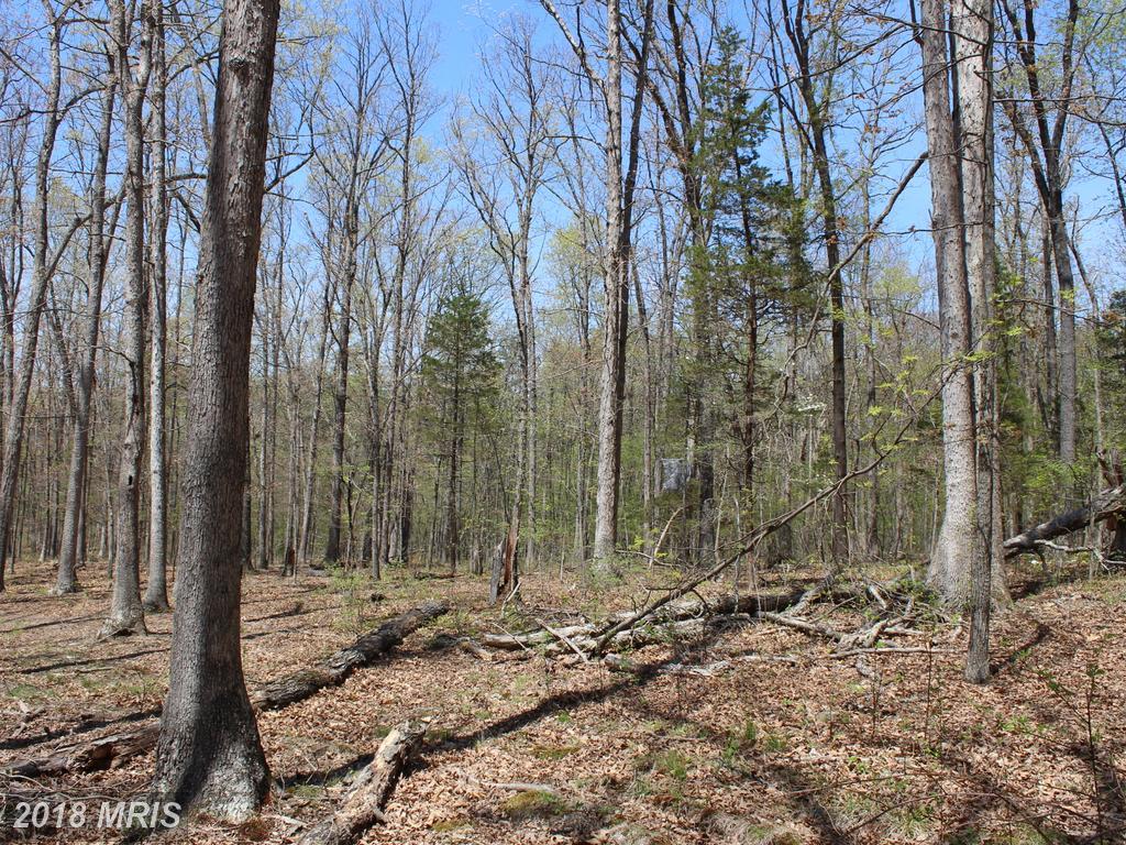 0 Bucks Mill Road - Photo 1