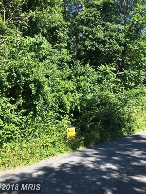 Blue Mountain Road - Photo 1