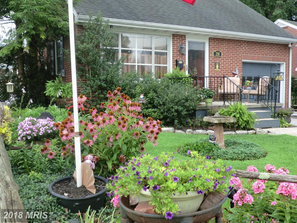 258 Diller Road - Photo 1
