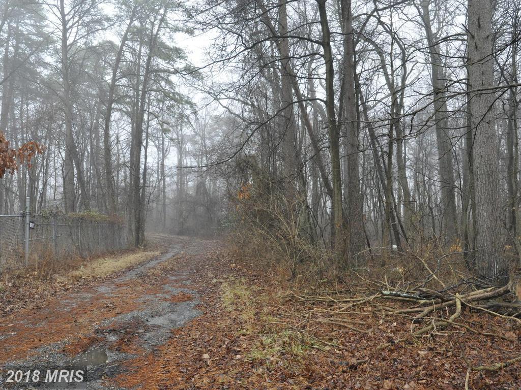 Crystal Springs Boulevard - Photo 1