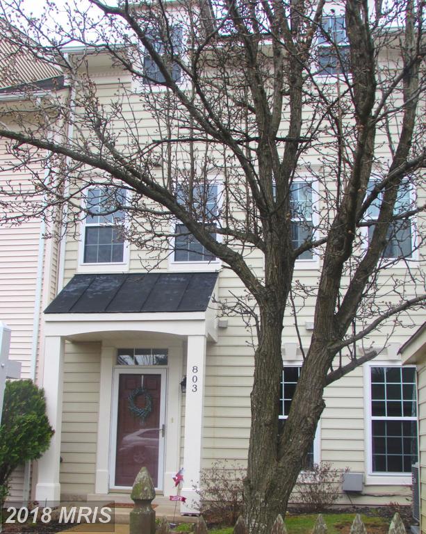 803 Herring Creek Court - Photo 1