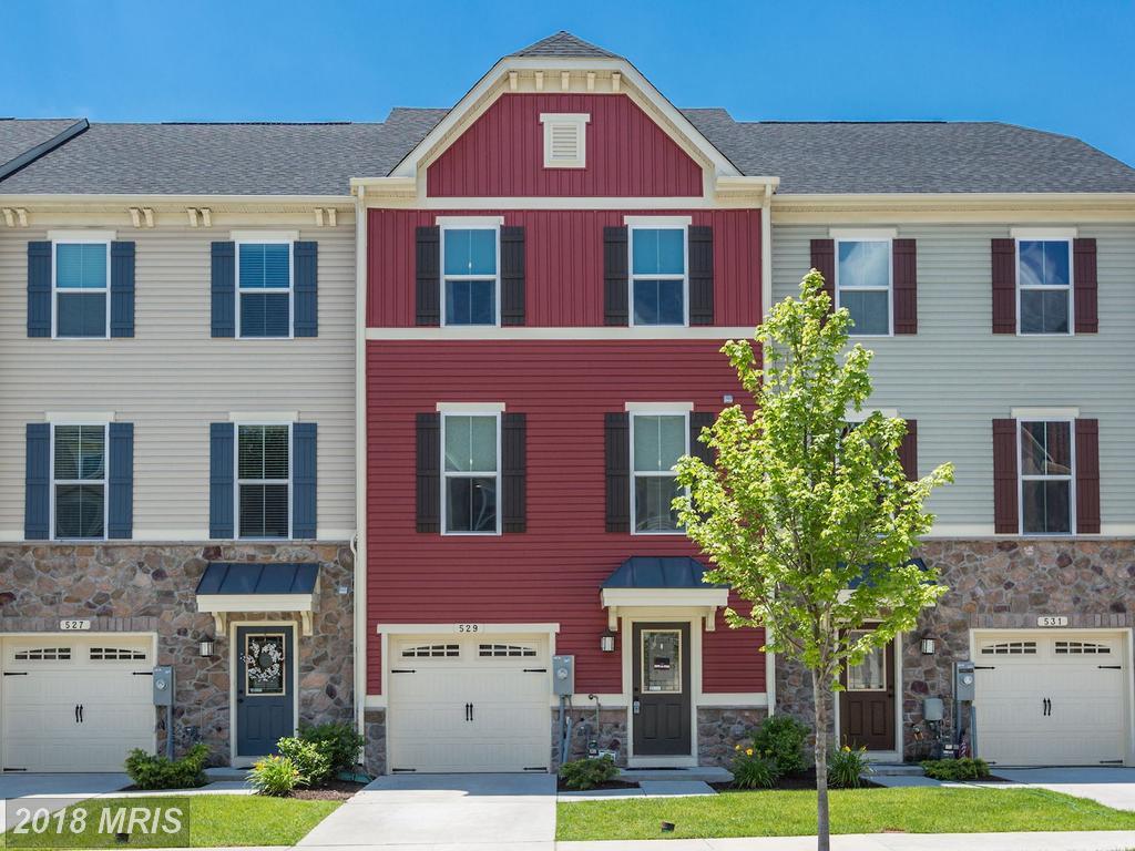 529 Fox River Hills Way - Photo 1