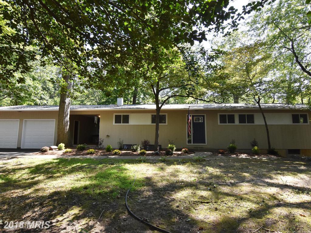 888 Pine Trail - Photo 1