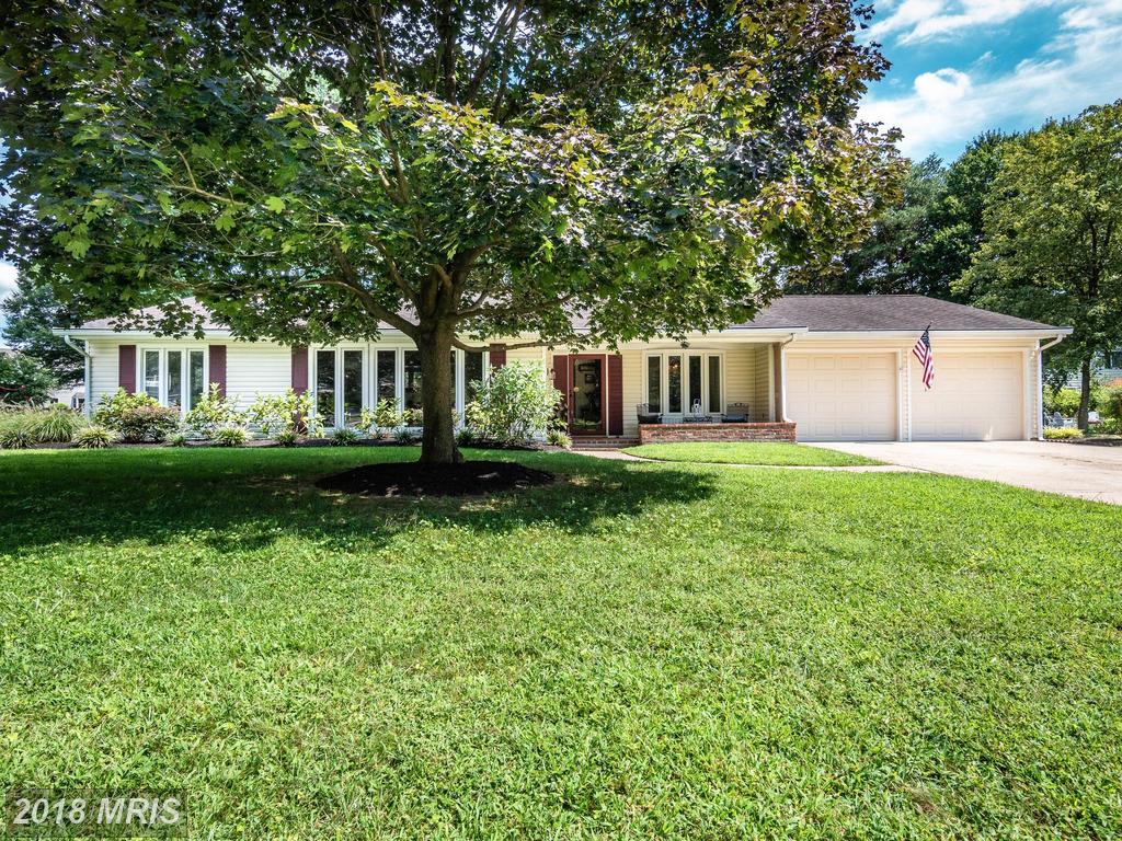 445 Maryleborn Road - Photo 1