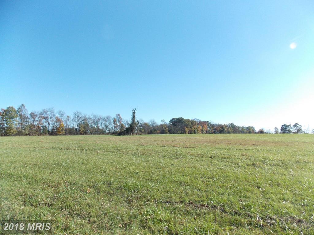 350 Stultz, Lot #3 Road - Photo 1