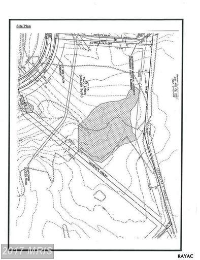1850-LOT #13 Proline Place - Photo 1