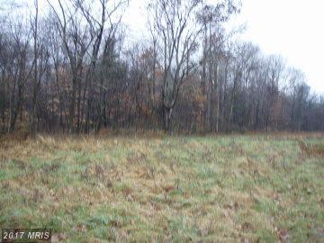 3 Deep Hollow Trail - Photo 1